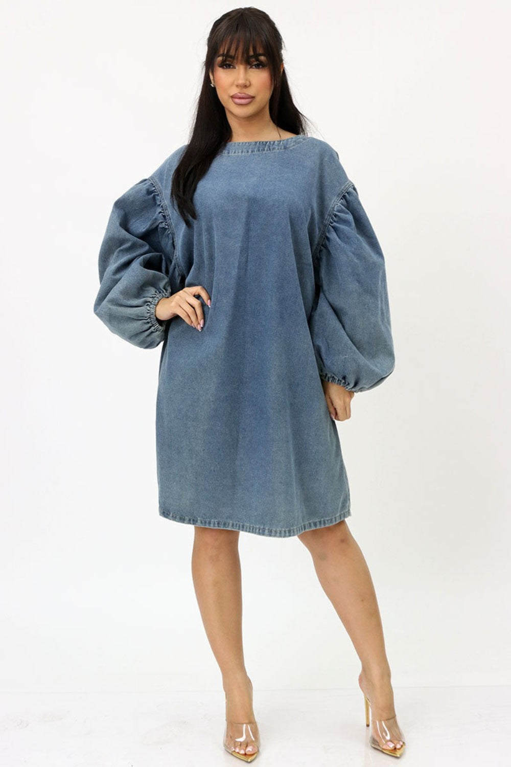 Ericka Denim Dress