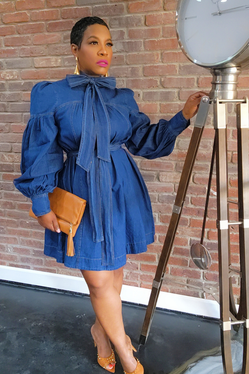 Stacy Denim Dress