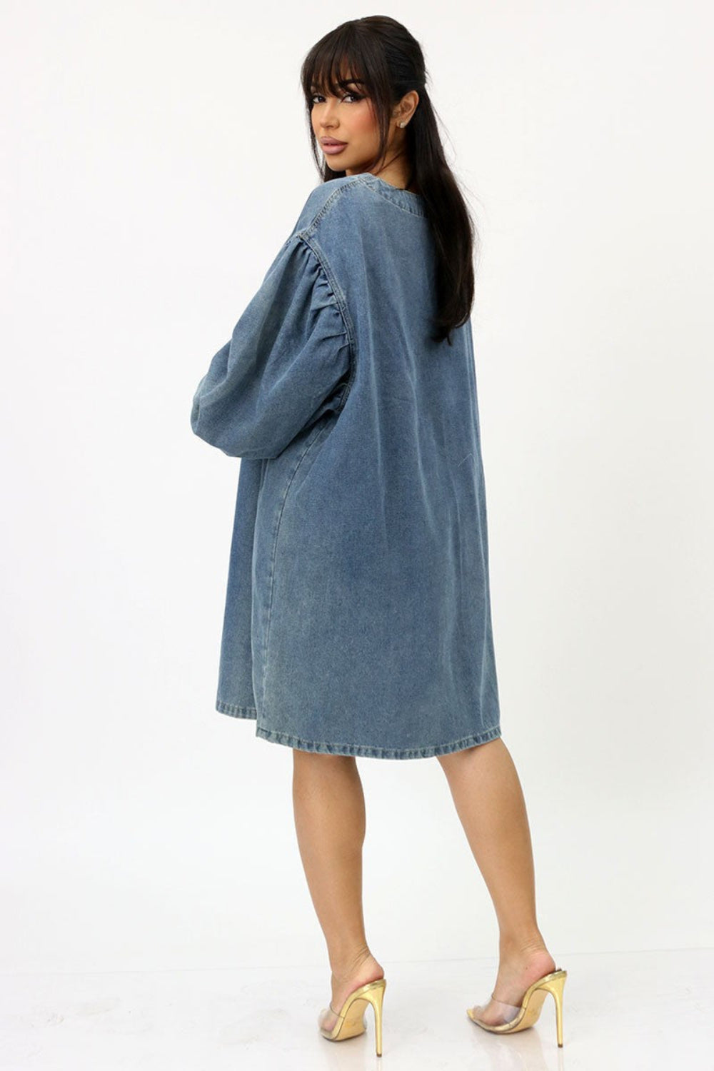 Ericka Denim Dress