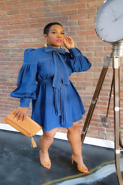 Stacy Denim Dress