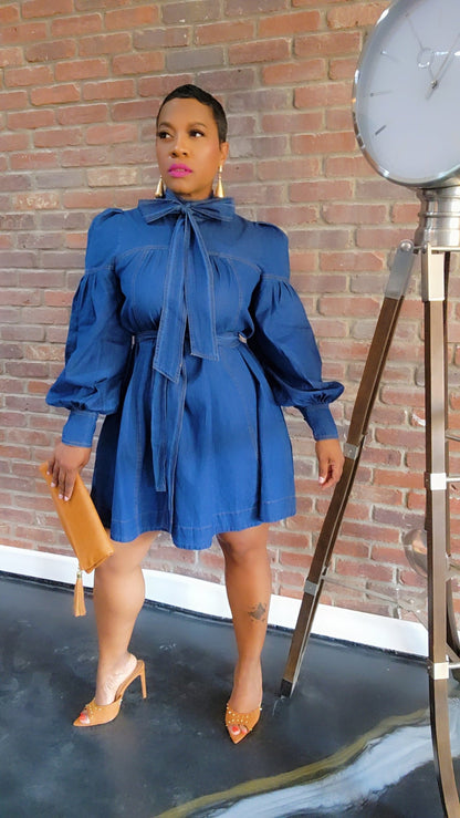 Stacy Denim Dress